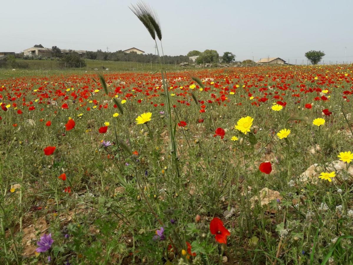 Vila Alla Romana Caltagirone Exteriér fotografie